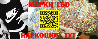 спиды Будённовск