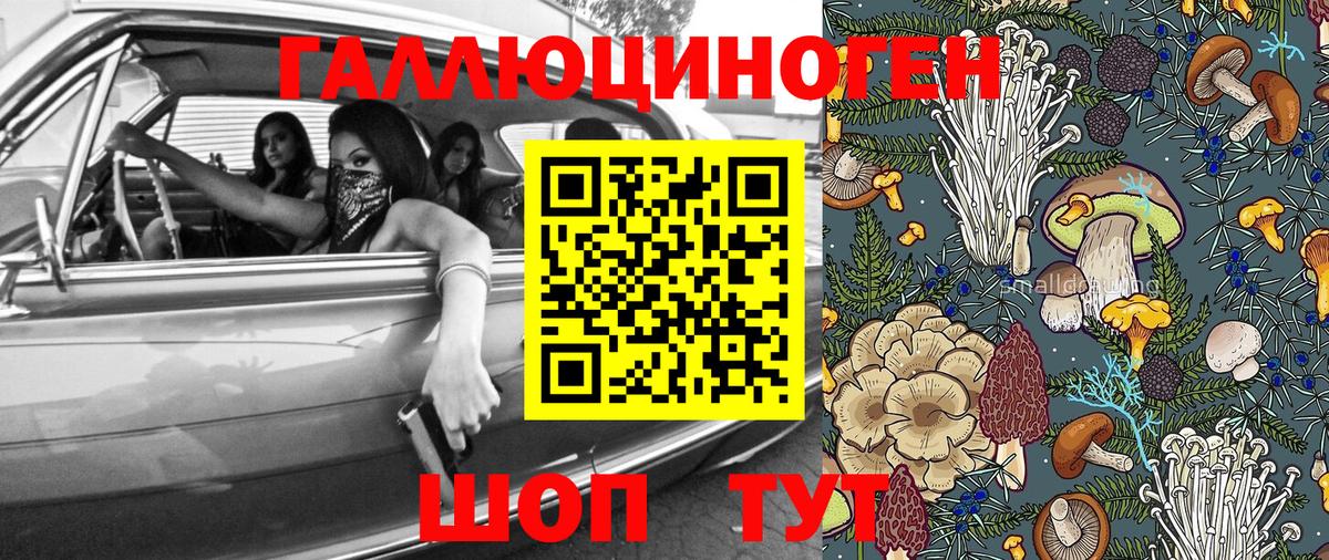 Морозовск  Псилоцибиновые грибы мухоморы  Вход с VPN 