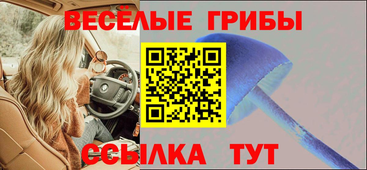 Псилоцибиновые грибы Magic Shrooms Морозовск