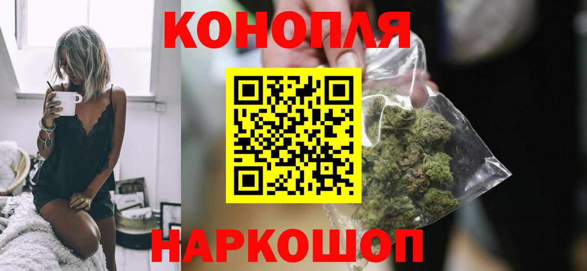 Канабис планчик Морозовск